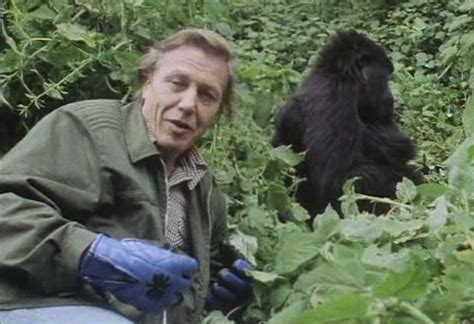 David Attenborough's best episodes and moments