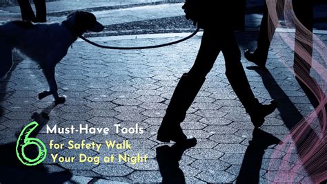 6 Must-Have Tools for Safety Walk Your Dog at Night