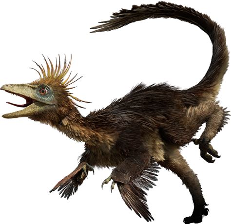 Troodon | Cool Dino Facts Wiki | FANDOM powered by Wikia