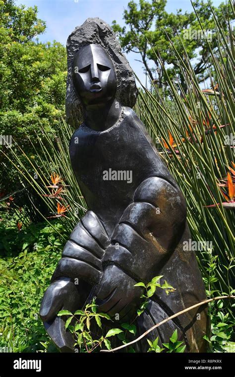 Kirstenbosch botanical garden sculpture hi-res stock photography and images - Alamy