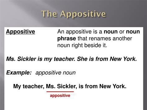 What Is An Appositive Phrase Appositive Phrase Examples