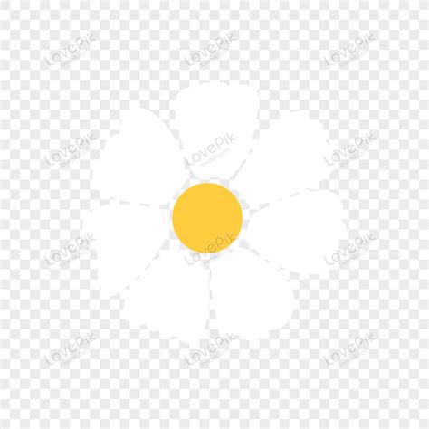 White Flower Vector, Ornament, Vector Ornament, Vector PNG Image And ...