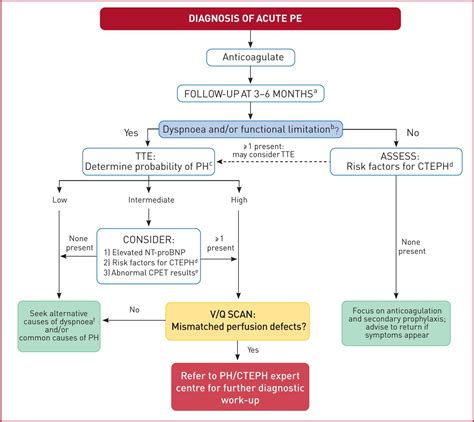 2019 ESC Guidelines for the diagnosis and management of acute pulmonary ...