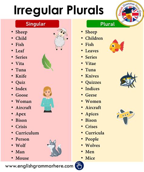 Irregular Plurals | Irregular Plurals Noun in English - English Grammar Here