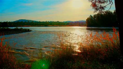 Relaxing River Sounds with Night Ambience. Calming White Noise ...