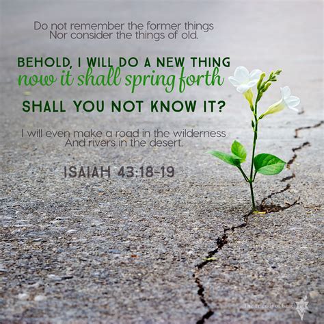 a small plant sprouts from the ground with a bible verse written below it