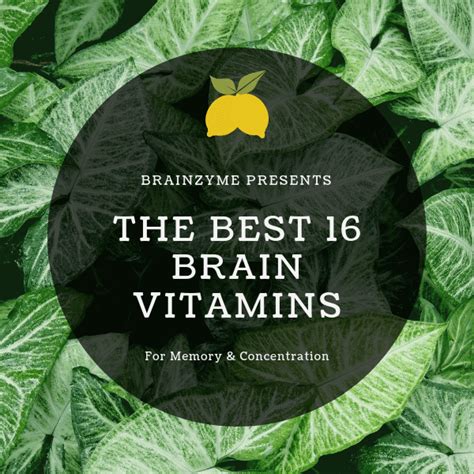 The 16 Best Brain Vitamins for Memory & Concentration in 2020 – Brainzyme