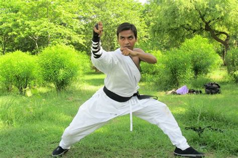 Martial Arts Training - Kung Fu Coach in Delhi & NCR, India | Martial ...