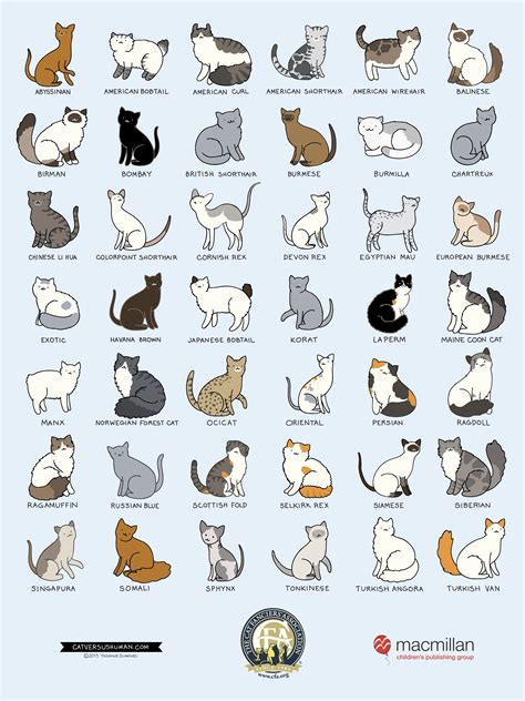 Identification Cat Breeds Chart