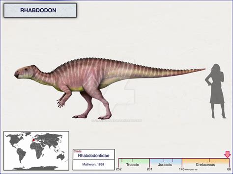 Paleo Exhibit | Fandom