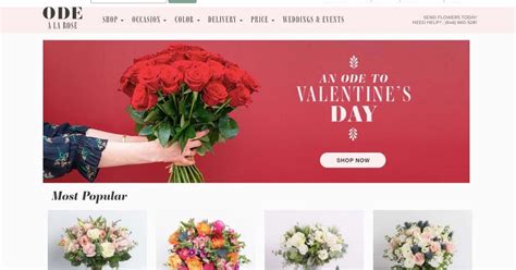 Best Flower Shop Websites of 2024 | 41 Examples + Templates