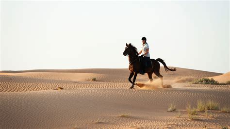 Desert Horse Riding at Winners Equestrian