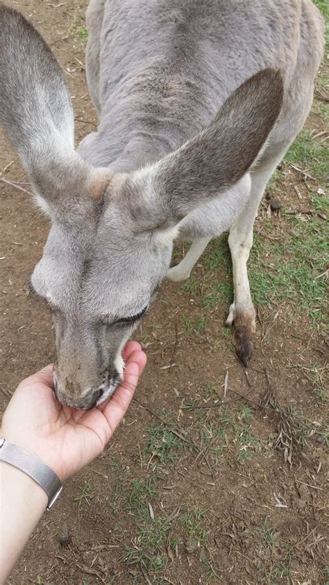 Feeding zoo | Photo