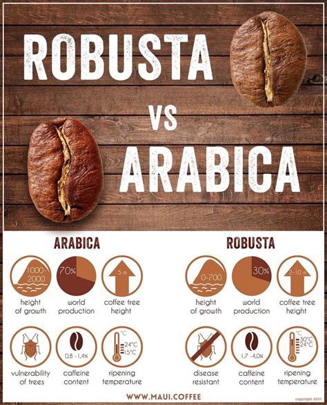 the differences between roasting and roasting coffee beans info graphic by mau coffee