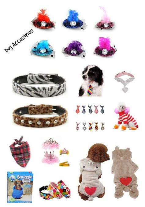 10 Best Dog Accessories - Katie Talks Carolina