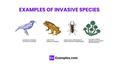 Invasive species, Definition, Characteristics, Examples, Impacts