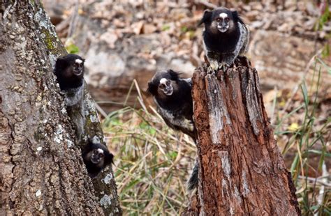 Visiting Brazil's Chapada Diamantina With Intrepid Travel