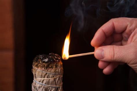 How to Burn Sage to Cleanse Homes | Burning sage, Benefits of burning ...