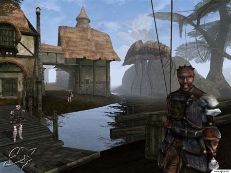 Morrowind is a beautiful place : gaming