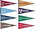 Amazon.com : Big Ten Conference College Pennant Set : Sports Related Pennants : Sports & Outdoors