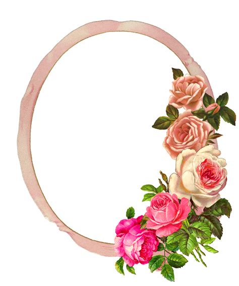 The Graphics Monarch: Free Pink Rose Digital Flower Frame Download Project Idea
