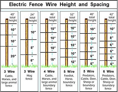 Large Farm Animal Fencing Supplies - Electric Fence products and netting for horses, cattle ...