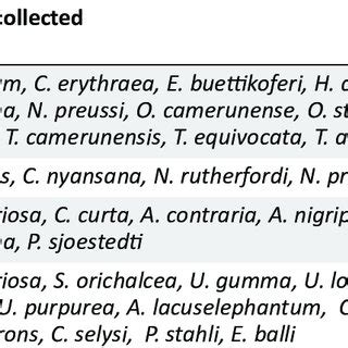 List of Odonata species collected in Oban Forest, Cross River National ...