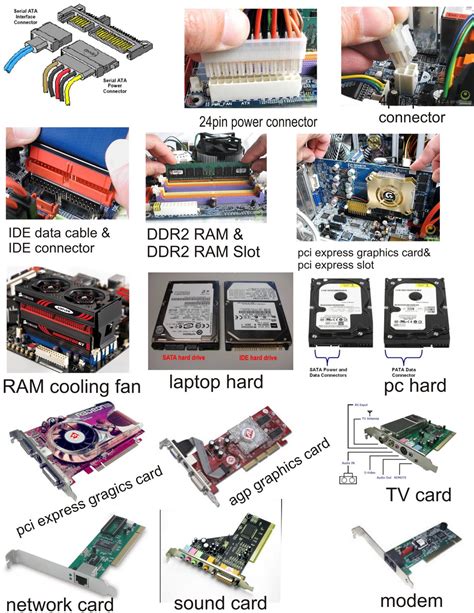 Computer Hardware: computer parts w