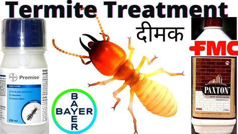 Odorless Termite Control Treatment Best Pesticide For Termite Treatment दीमक से छुटकारा पाए ...