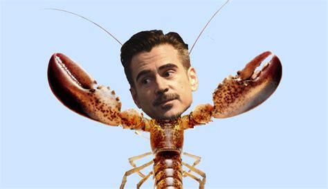 Colin Farrell Got Fat For A Movie Where He Maybe Turns Into A Lobster ...