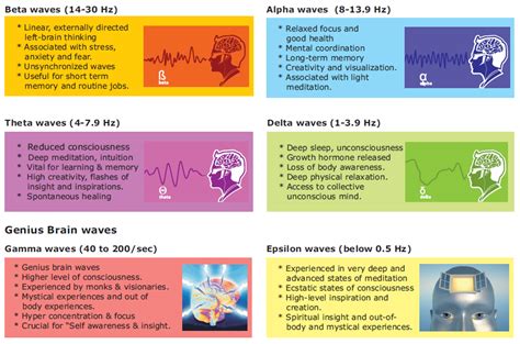 What are your brainwave frequencies? 〰 - Unusual Beliefs ...