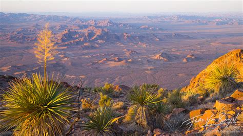 Desert Wildlands : Kofa Mtns, AZ : Art in Nature Photography