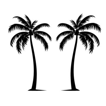 Two Palms Trees Illustration, Png Icon, Beach, Beautiful PNG ...