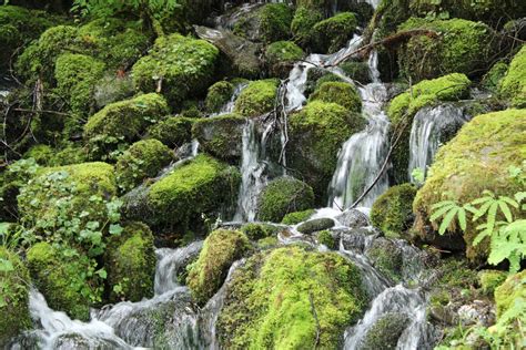 Waterfall in Olympic National Park | Smithsonian Photo Contest | Smithsonian Magazine