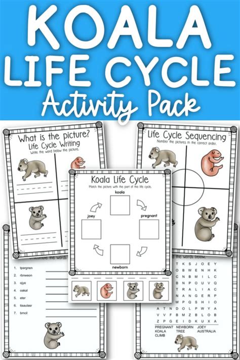 Life Cycle of a Koala - Easy Activities for Kids - Organized Home School