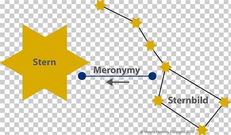 Meronymy WordNet Synonym Ring Holonymy Hyponymy And Hypernymy PNG ...