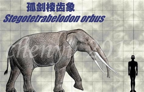 Stegotetrabelodon orbus by sinammonite on DeviantArt