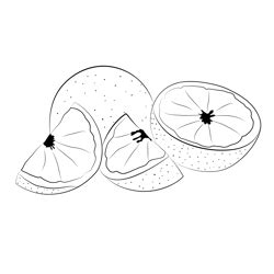 Grapefruit 1 Coloring Page for Kids - Free Grapefruit Printable ...