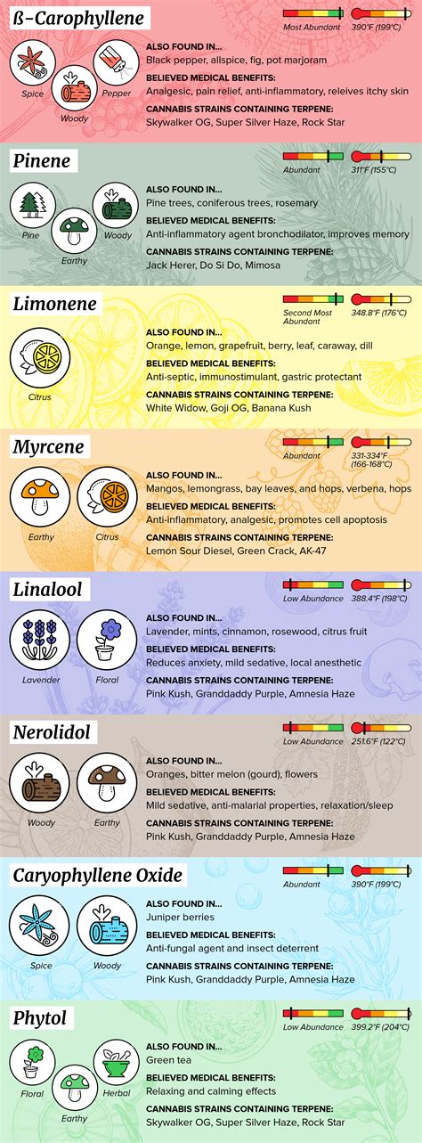 Terpene Benefits Chart