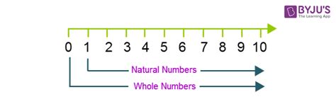 Whole numbers - Definition, Symbol, Properties and Examples