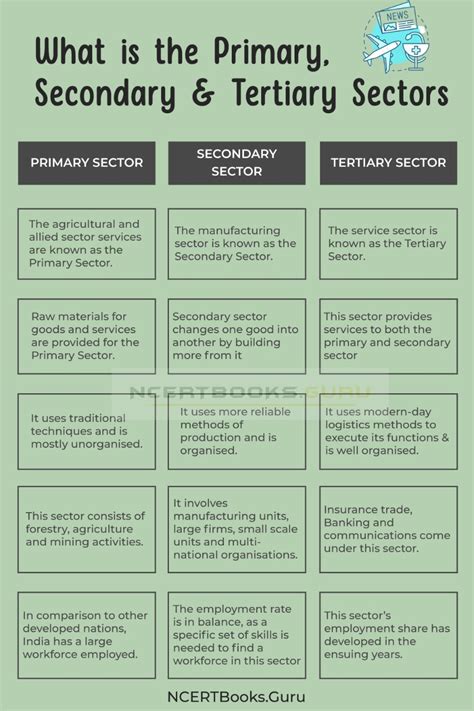 Difference between Primary, Secondary and Tertiary Sectors & Their ...