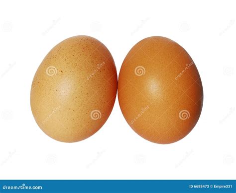 Two eggs isolated stock image. Image of isolated, shell - 6688473