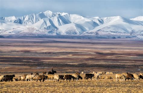 Amazing natural beauty of the Altai Mountains · Russia Travel Blog