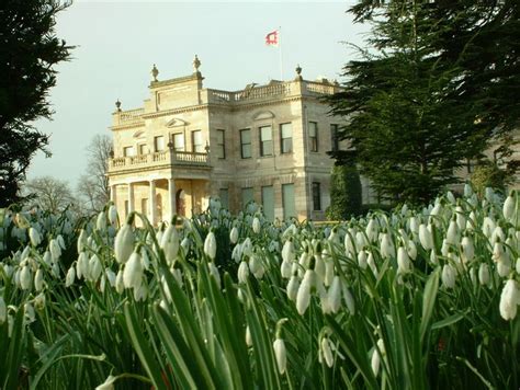 Snowdrops at Brodsworth Hall - English Heritage