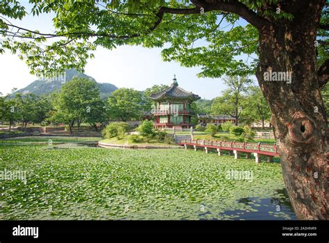 Bongeunsa Temple Seoul Stock Photo - Alamy