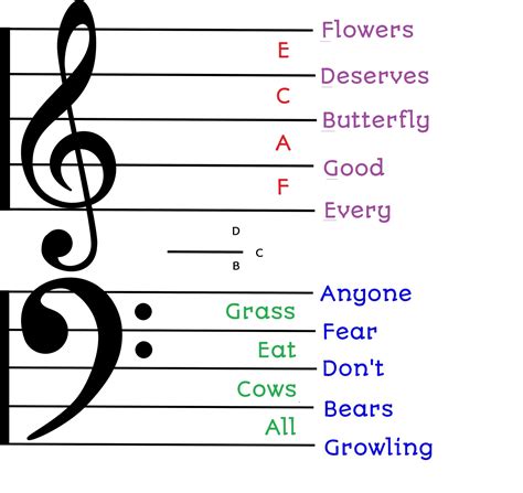 How To Read Bass Clef Notes