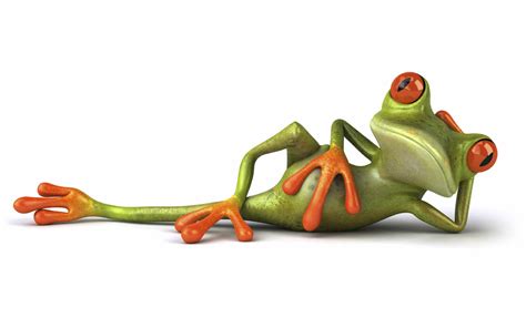 Funny Tree Frog Pictures - ClipArt Best