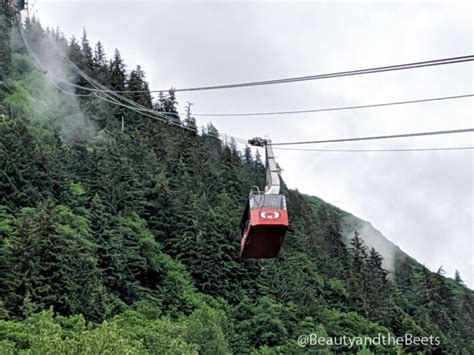 The Scenic Juneau Tram - Alaska Beauty and the Beets