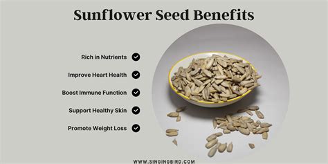 Sunflower seed benefits | Sunflower seeds nutrition