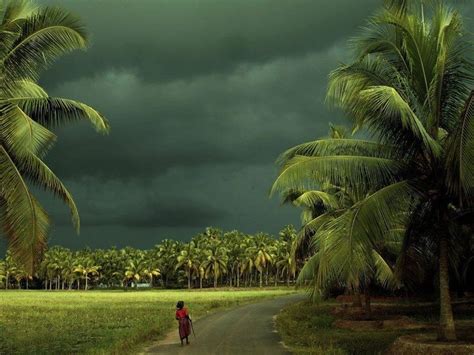 Image result for rain at home kerala | Kerala, Beautiful nature, Amazing india